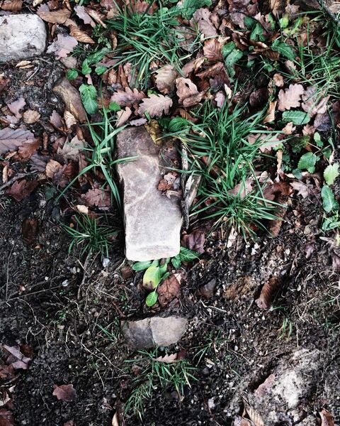 Example to enhance: A pale stone among fallen leaves and grass